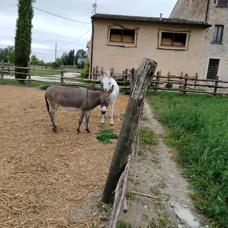 דירה Turistic 7 Castel Goffredo